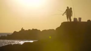 Tourism NT releases million dollar fish